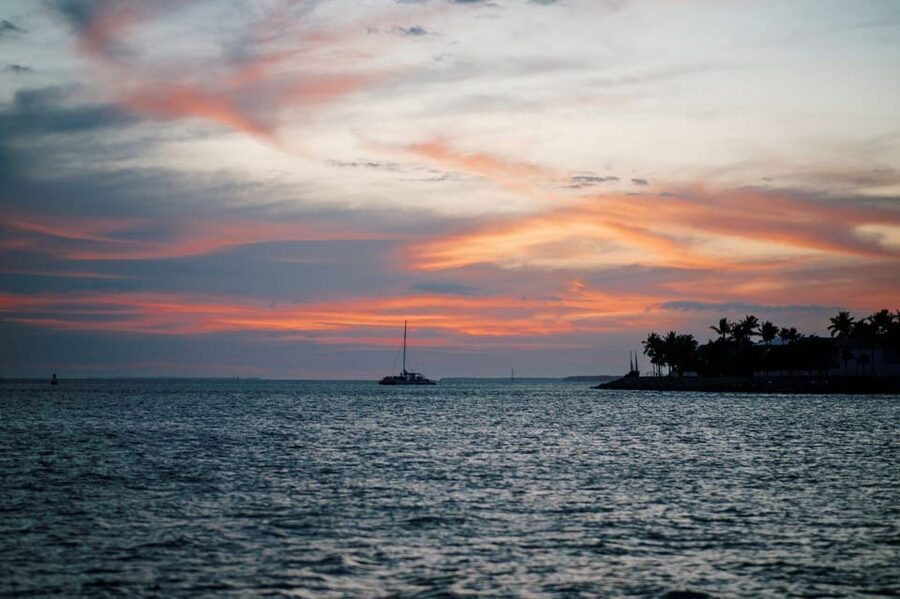 Captain's Choice: Dolphin Watch Sunset Sail - Booking advice for the best experience
