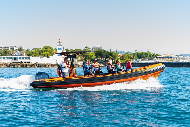 Cascais coast: Dolphin watching - Key points before you book
