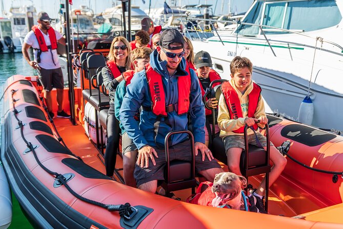Cascais coast: Dolphin watching - What is included for $78.02