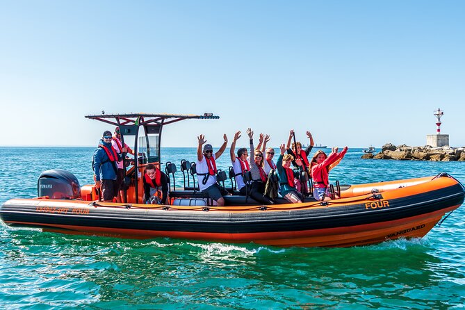 Cascais coast: Dolphin watching - How this compares with a standard coastal cruise