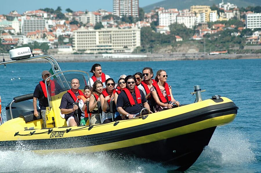 Cascais: Dolphin Watching Speedboat Tour - Who should book, and who should skip it