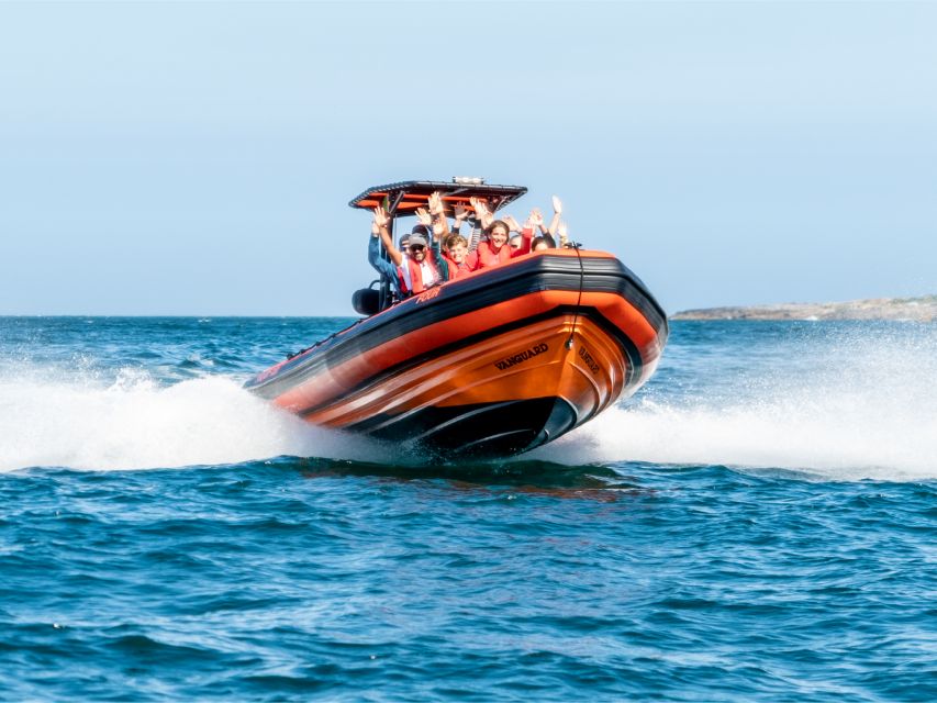 Cascais: Dolphin Watching Tour - A Two-Hour Itinerary With No Filler Stop