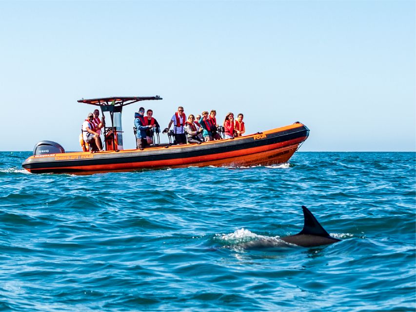 Cascais: Dolphin Watching Tour - Is $76 a Fair Price?