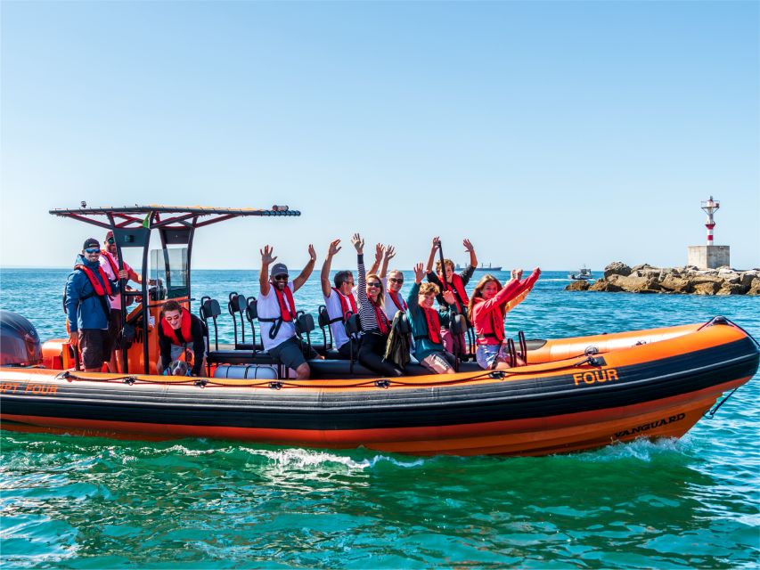Cascais: Dolphin Watching Tour - Booking and Timing Tips for Cascais