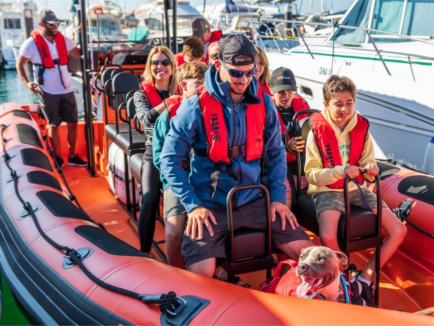 Cascais: Dolphin Watching Tour - Waiting for Dolphins in Their Natural Home