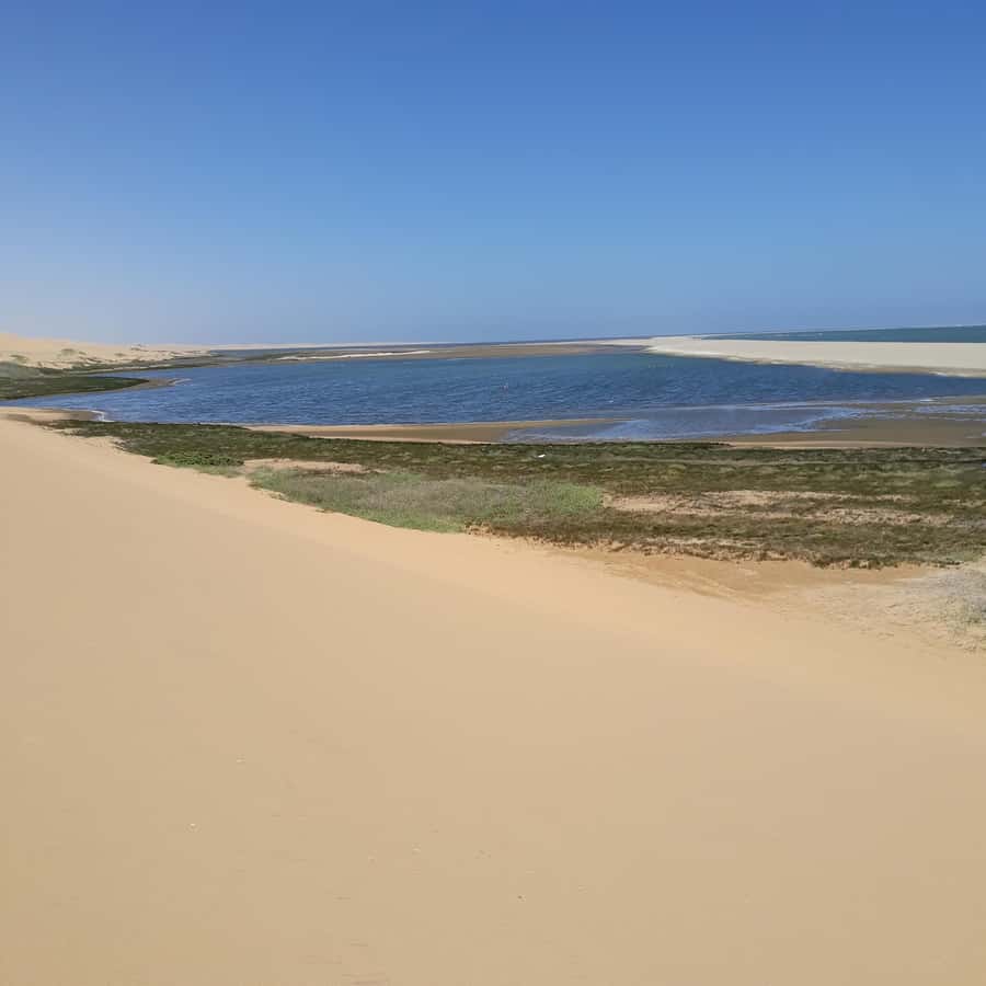 Catamaran Dolphin Cruise and Sandwich Harbour Tour - From Walvis Bay Lagoon to the Pink Salt Lakes