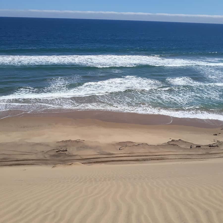 Catamaran Dolphin Cruise and Sandwich Harbour Tour - Lunch, local drinks, and a slower desert pause