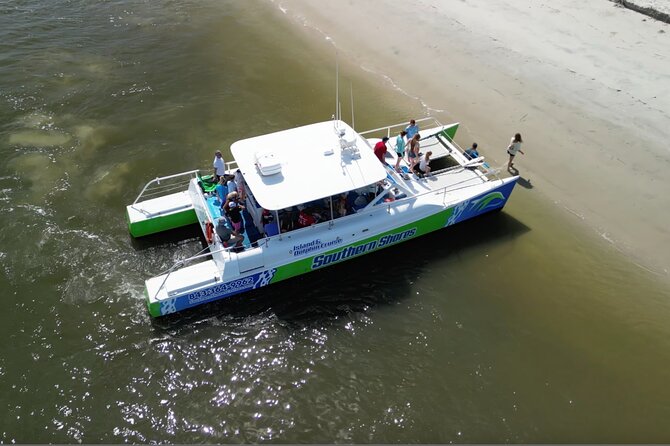 Catamaran Dolphin Cruise in Myrtle Beach with Barrier Island Stop - Open-ocean dolphin watching