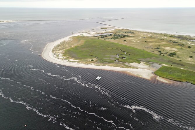 Catamaran Dolphin Cruise in Myrtle Beach with Barrier Island Stop - The barrier island stop: Bird Island or Waties Island