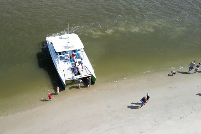 Catamaran Dolphin Cruise in Myrtle Beach with Barrier Island Stop - Timing, comfort, and the walk to the dock