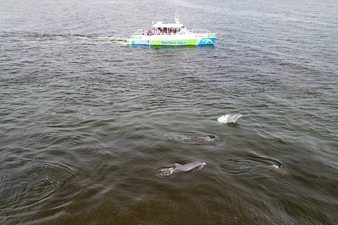 Catamaran Dolphin Cruise in Myrtle Beach with Barrier Island Stop - Booking advice and cancellation terms