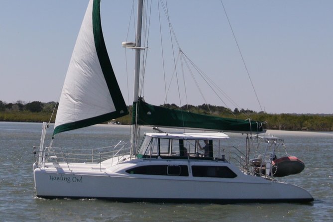 Catamaran Sailing Dolphin/Manatee Watch in Daytona Beach - Six useful things to know before you book