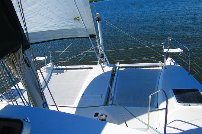 Catamaran Sailing Dolphin/Manatee Watch in Daytona Beach - Comfort, drinks, and the practical details