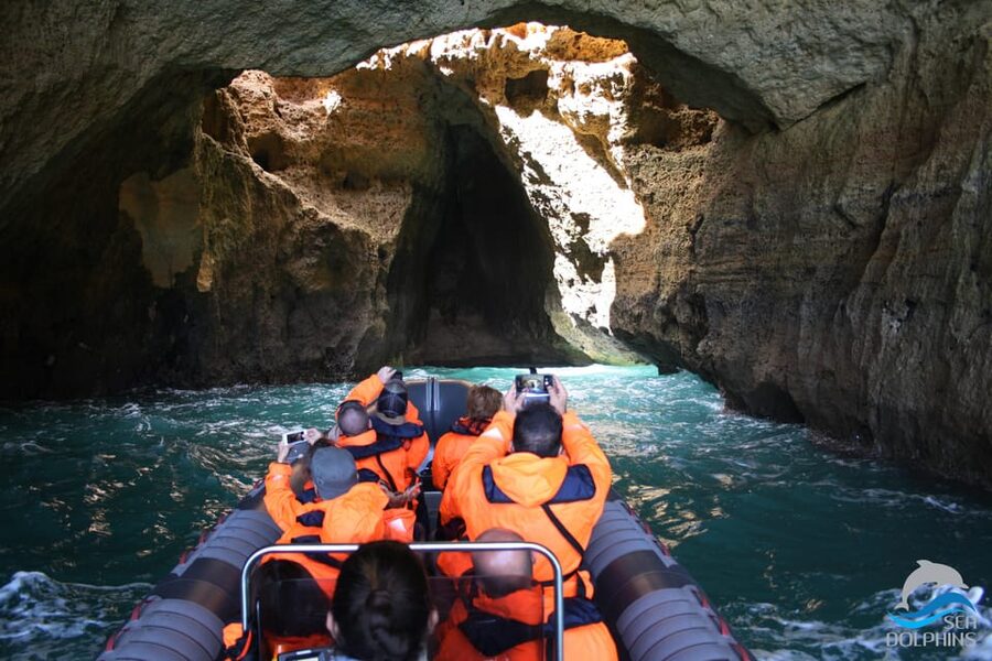 Caves & Dolphins - Combined Trip - Key points to know before booking