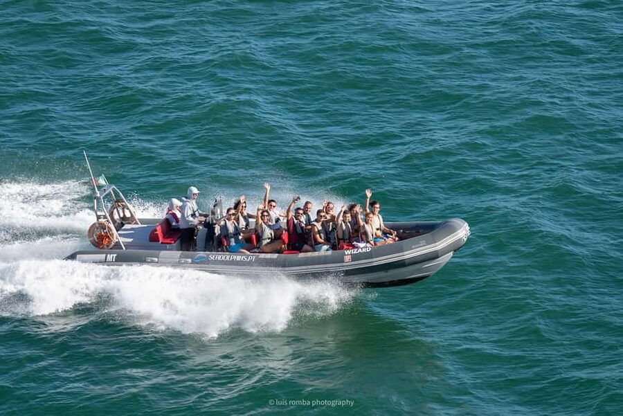 Caves & Dolphins - Combined Trip - Watching dolphins in their natural habitat
