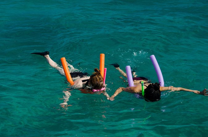 Champagne Dolphin Sail and Reef Snorkel - What the snorkeling portion means for beginners