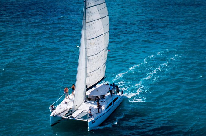 Champagne Dolphin Sail and Reef Snorkel - Champagne, provisions, and the overall mood