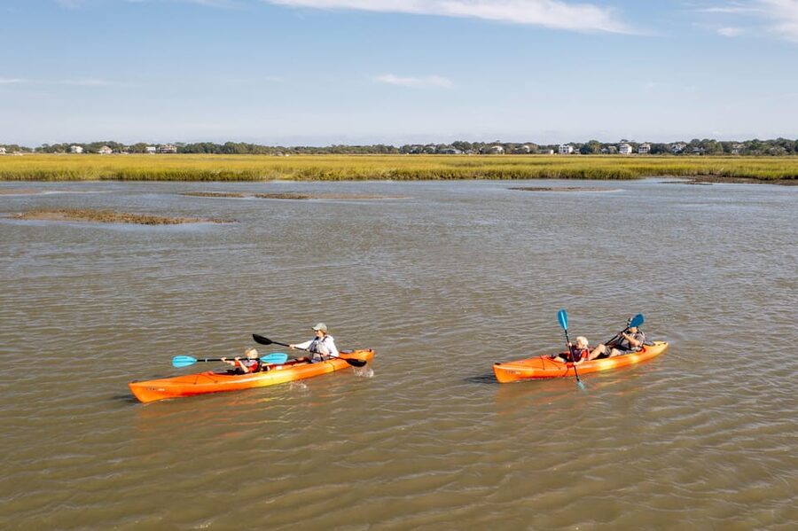 Charleston: Folly Beach Afternoon Kayak Dolphin Safari - Key Points to Know