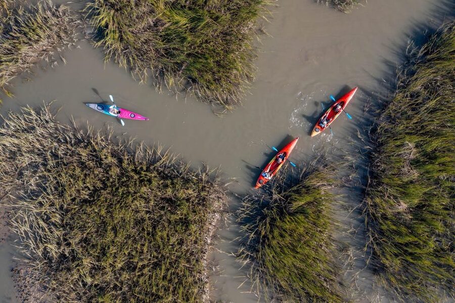 Charleston: Folly Beach Afternoon Kayak Dolphin Safari - What the Strongest Praise Tells You