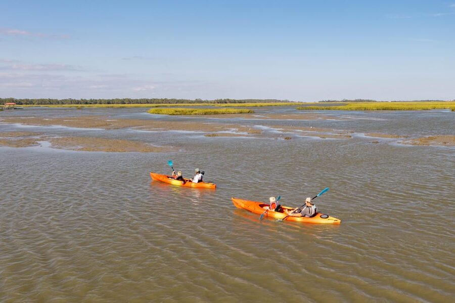 Charleston: Folly Beach Afternoon Kayak Dolphin Safari - Who Will Enjoy This Most?
