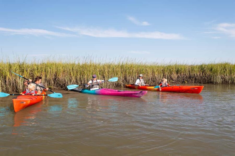Charleston: Folly Beach Morning Kayak Dolphin Safari - Key Points Before You Book