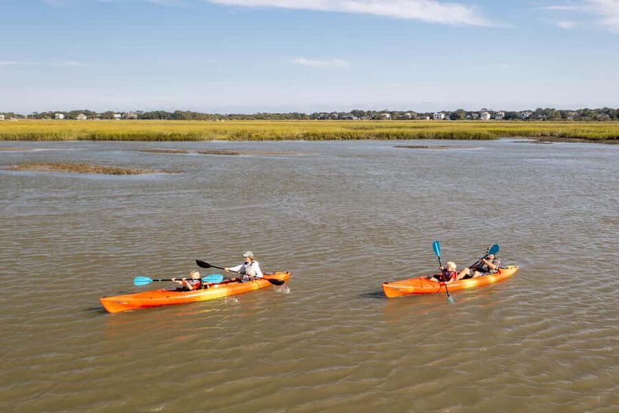 Charleston: Folly Beach Morning Kayak Dolphin Safari - Who Will Enjoy This Folly Beach Tour?