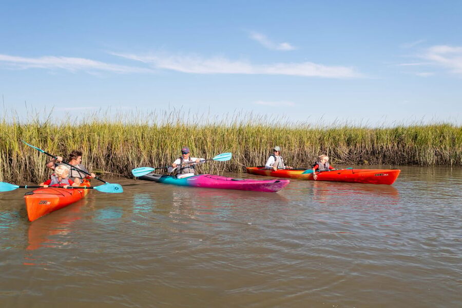 Charleston: Folly Beach Morning Kayak Dolphin Safari - Is $55 a Good Price?