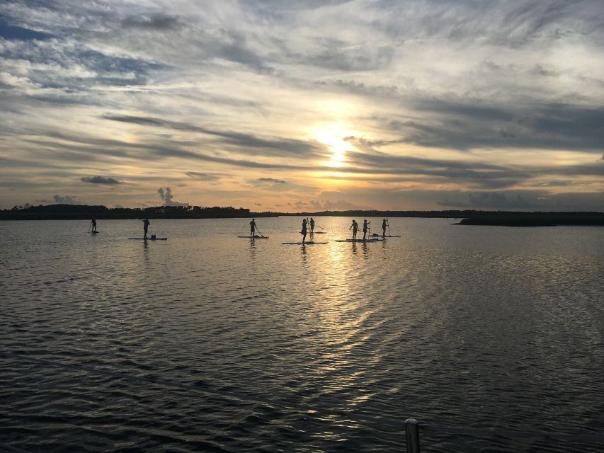 Charleston: Folly Beach Stand Up Paddleboard Dolphin Safari - Guides Who Shape the Experience