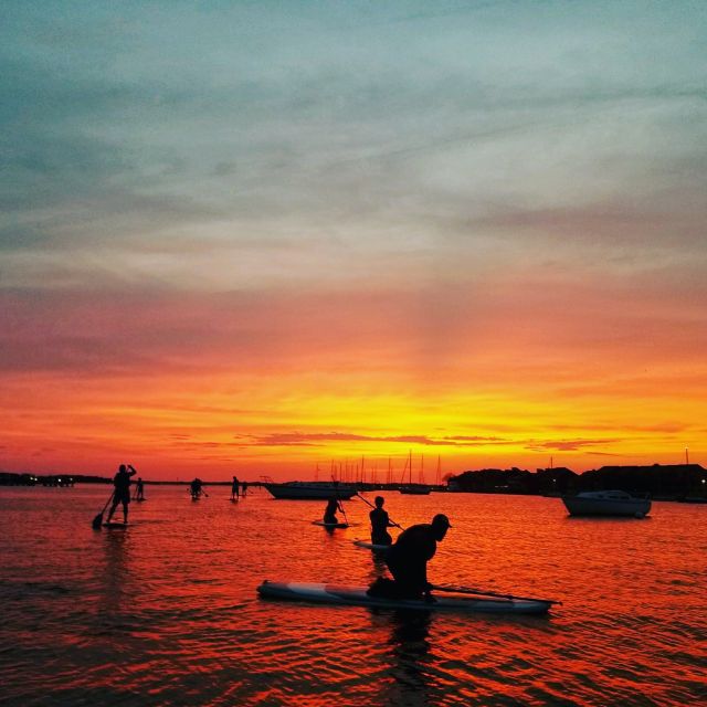 Charleston: Folly Beach Stand Up Paddleboard Dolphin Safari - Looking for Bottlenose Dolphins, Crabs, and Stingrays
