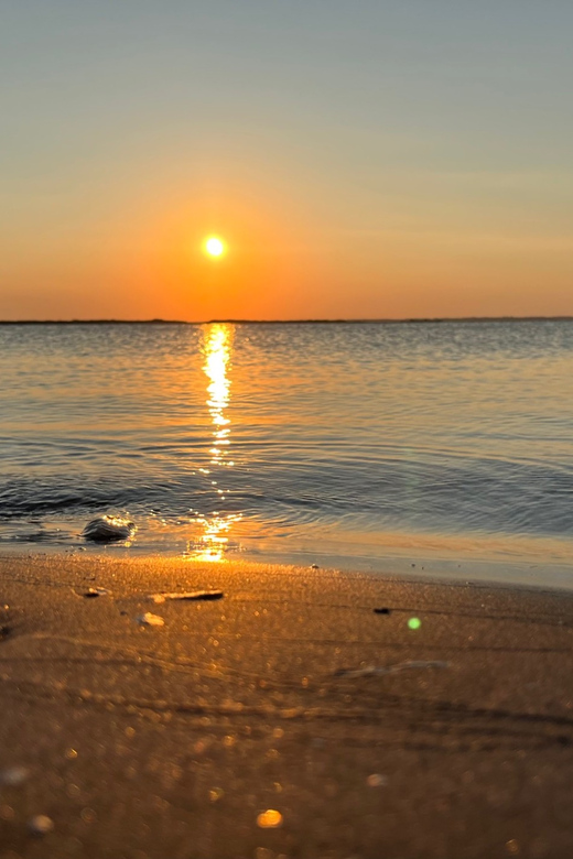 Charleston: Morris Island Dolphin Cruise with Beachcombing - What the Private Format Adds
