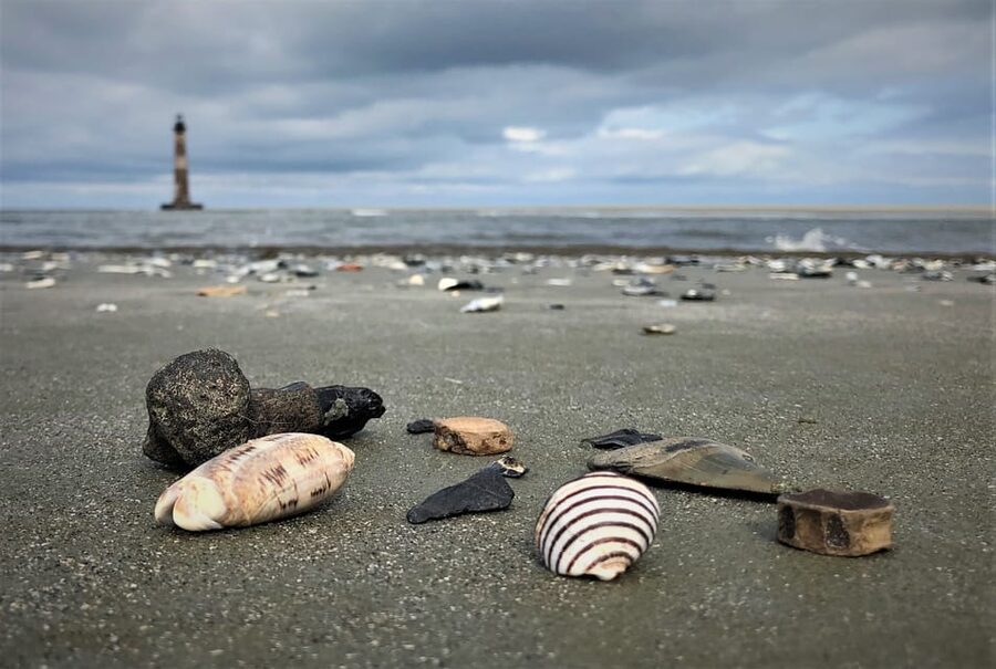 Charleston: Morris Island Dolphin Cruise with Beachcombing - Who Will Enjoy This Cruise Most