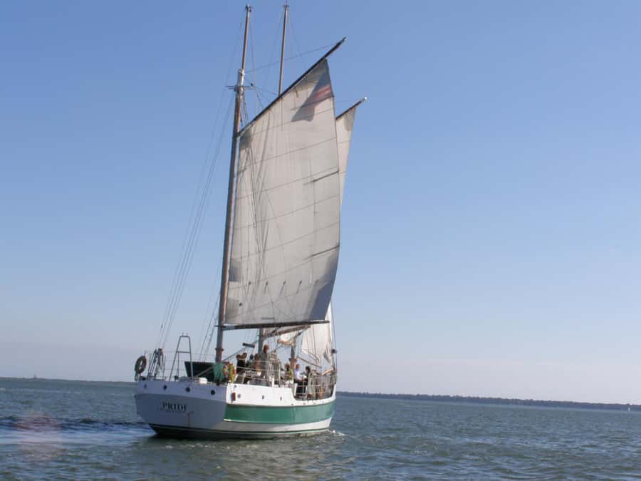Charleston: Schooner Sailing Harbor Tour & Dolphin Watch - Key points to know before you book
