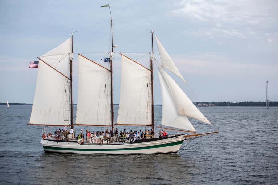 Charleston: Schooner Sailing Harbor Tour & Dolphin Watch - Dolphins, wildlife, and realistic expectations