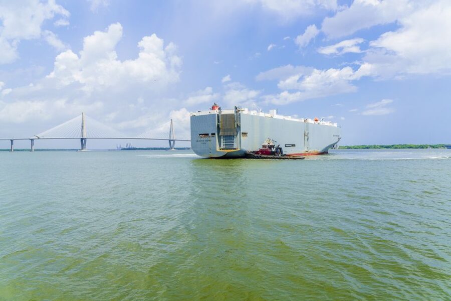 Charleston: Sightseeing Harbor Tour & Dolphin Watch - Dolphins are possible, but history comes first
