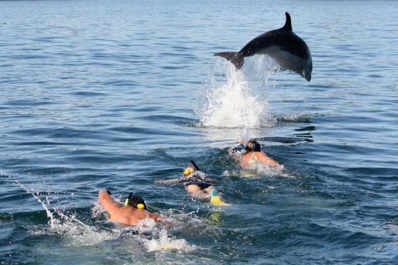 City Of Side: Dolphin Island Boat or Side Boat Tour Options - Morning pickup through Sorgun Forest