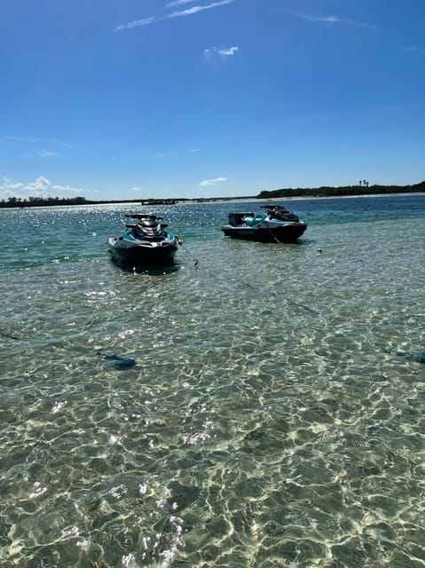 Clearwater: 1 Hour Jetski Dolphin Tour with Guide - Who will enjoy this most
