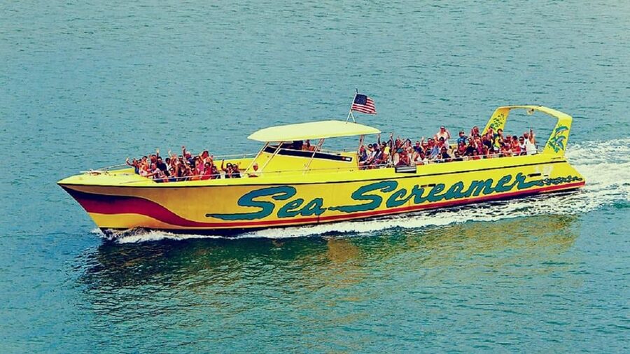 Clearwater Beach and Dolphin Cruise Day Trip from Orlando - Should you book it?