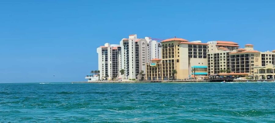 Clearwater Beach: Dolphin Excursion - Flippers Fun Boat - Dolphin sightings and the art of getting a good photo
