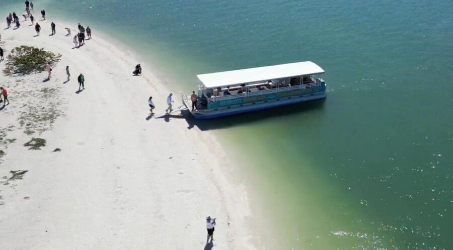 Clearwater Beach: Dolphin & Island Sandbar Cruise - Booking details worth knowing