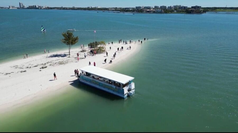Clearwater Beach: Dolphin & Island Sandbar Cruise - Clearwater’s easiest wildlife outing