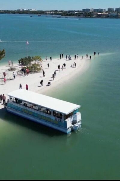 Clearwater Beach: Dolphin & Island Sandbar Cruise