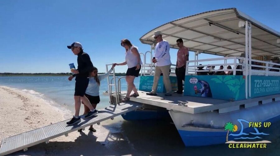 Clearwater Beach: Dolphin & Island Sandbar Cruise - Shade, coolers, ice cream, and other practical comforts