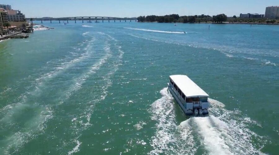 Clearwater Beach: Dolphin & Island Sandbar Cruise - Who will enjoy this Clearwater cruise most