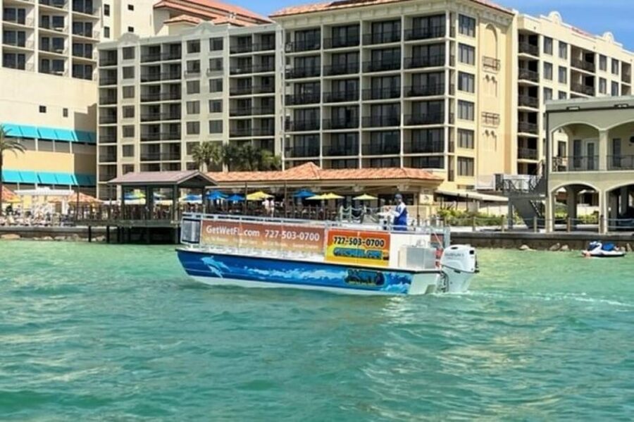 Clearwater Beach: Dolphin-Watching Sunset Cruise - What the 90 minutes feel like
