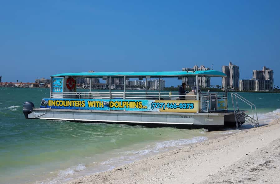 Clearwater: Dolphin Cruise with an Island Adventure - Leaving from 25 Causeway Boulevard