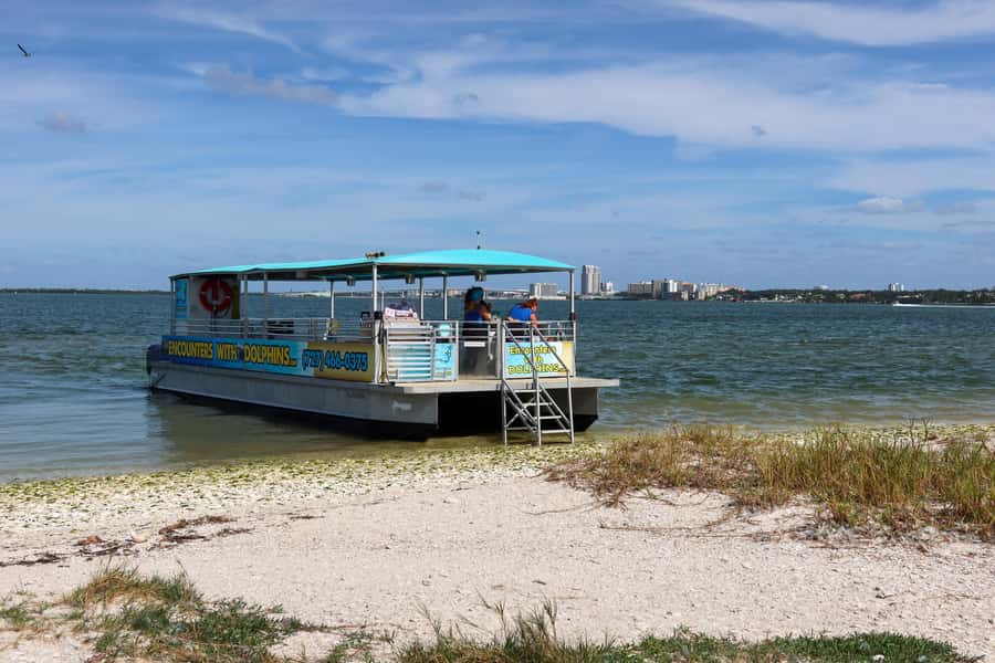 Clearwater: Dolphin Cruise with an Island Adventure - The Compass Island stop