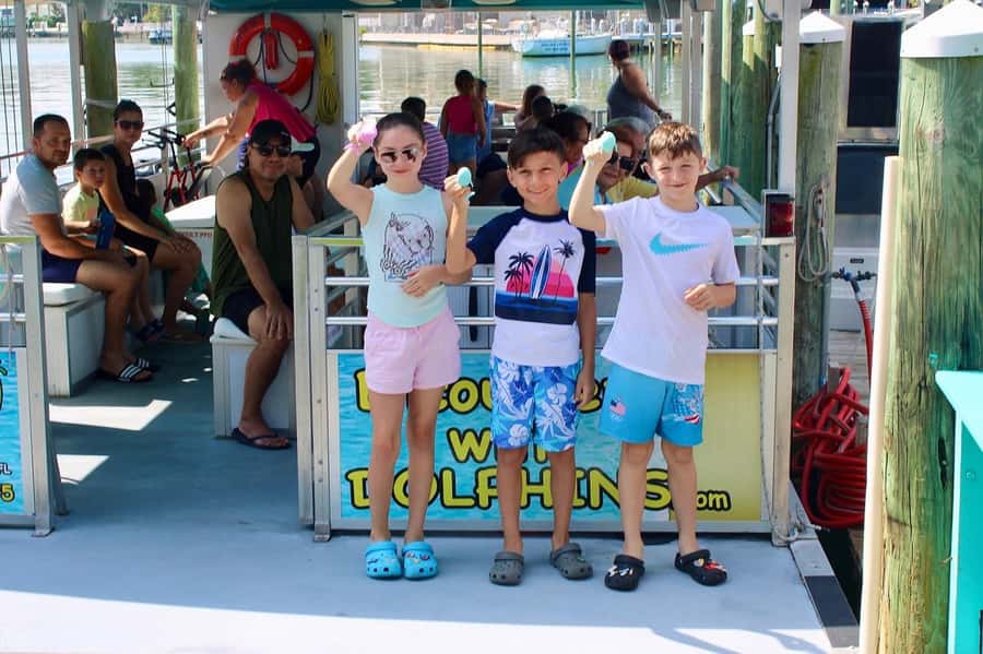 Clearwater: Dolphin Cruise with an Island Adventure - Who will enjoy this Clearwater outing