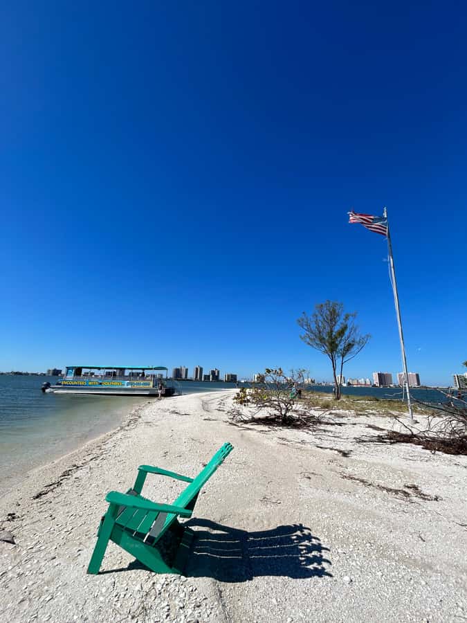 Clearwater: Dolphin Cruise with an Island Adventure - Should you book this dolphin cruise?