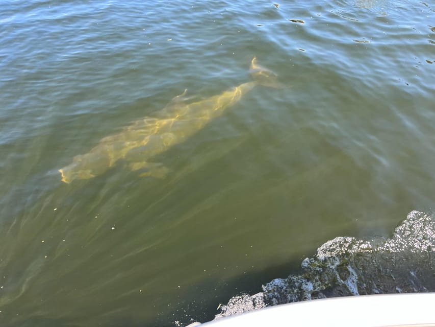 Clearwater: Dolphin Jet Ski Tour - 1 SKI FOR UP TO 3 PEOPLE - What to bring for two hours on the water