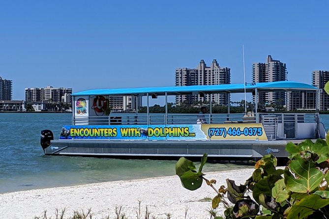 Clearwater Encounters with Dolphins Tour - The narration adds more than background noise